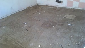 Mojave Cleanup 20130816 inside after