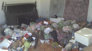 Mojave Cleanup 20130816 inside before