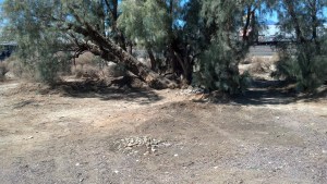 HomelessShack 20130906 finished result