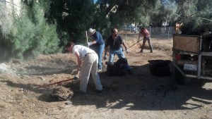 Cleaning 20131012 front lot