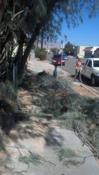 Cleaning 20131012 sidewalk